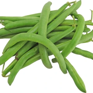 resized300_Fasole pitica - Harvester (50 g) seminte fasole, Agrosem.webp Seminte Fasole Pitica Harvester - 50 grame, timpurie, pastai lungi, Agrosem